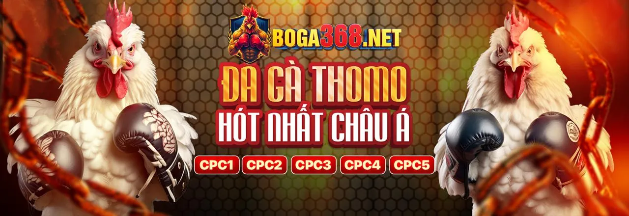 Đá gà trực tuyến mã 100vip